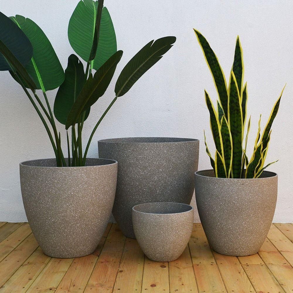 Frosted Imitation Stone Bonsai - Aloe Vera Pot 评论和价格