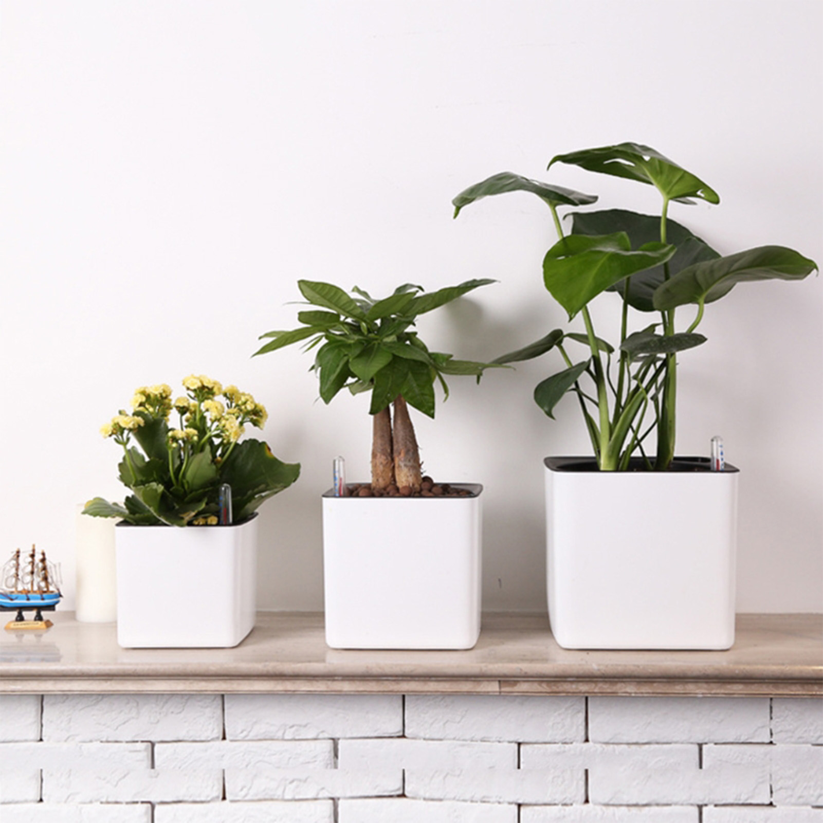 Automatic Self Watering Flower - Aloe Vera Pot 评论和价格