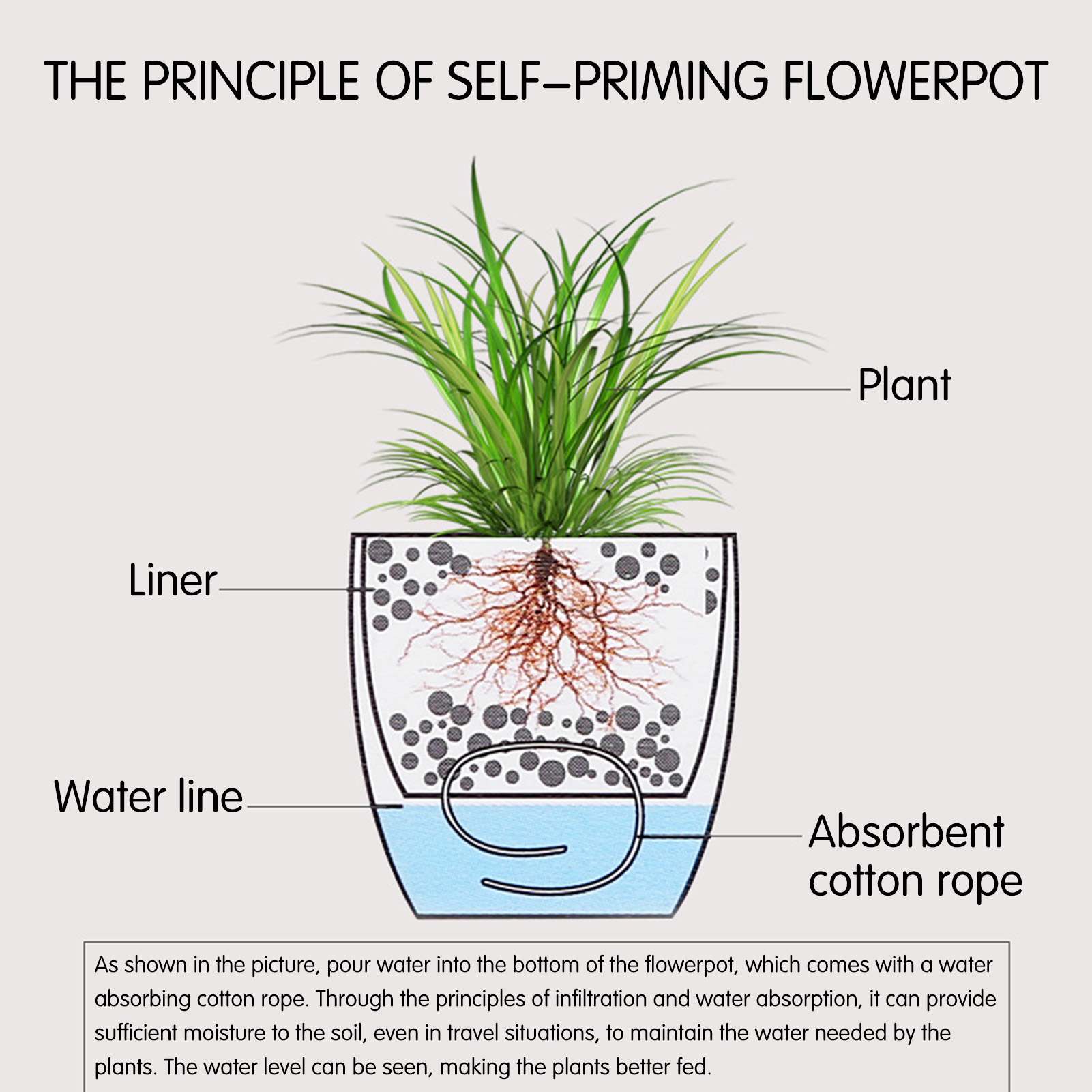 Automatic Self Watering Flower - Aloe Vera Pot 评论和价格