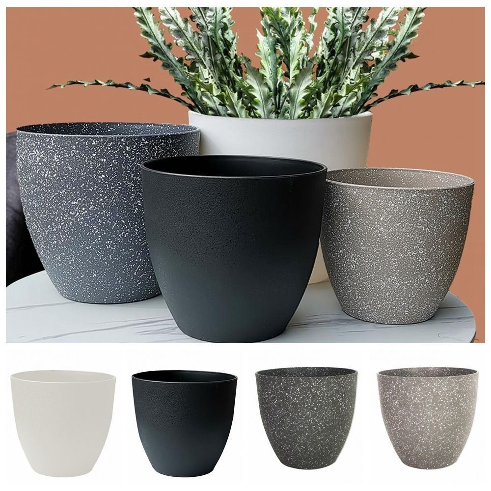 Frosted Imitation Stone Flower - Aloe Vera Pot 评论和价格