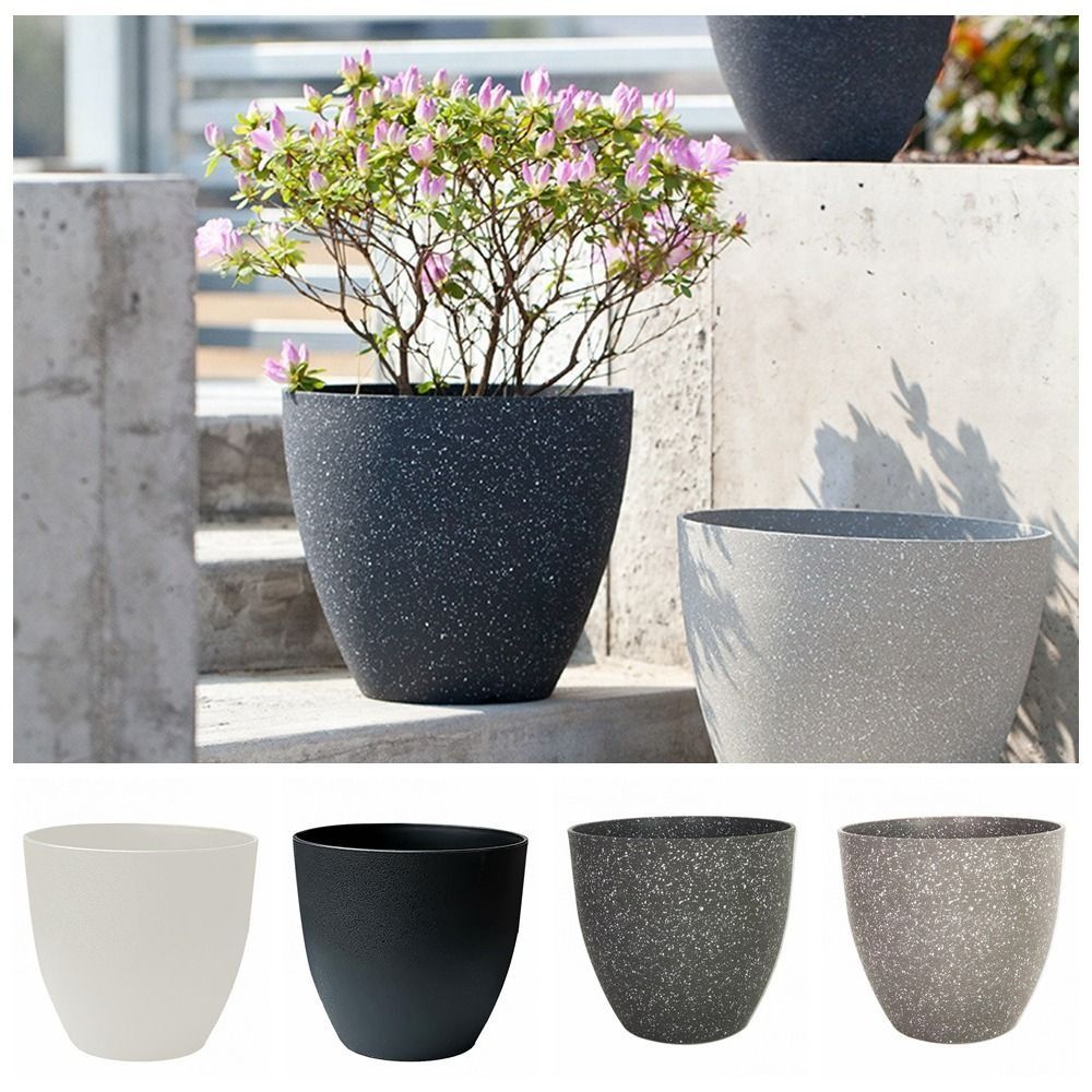Frosted Imitation Stone Flower - Aloe Vera Pot 评论和价格