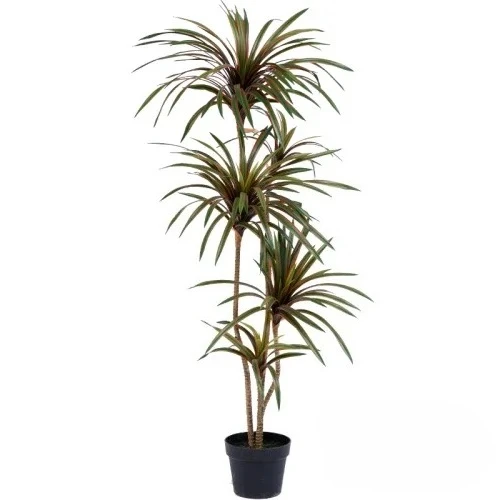 Simulation Colorful Ponytail I - Dracaena Marginata 评论和价格