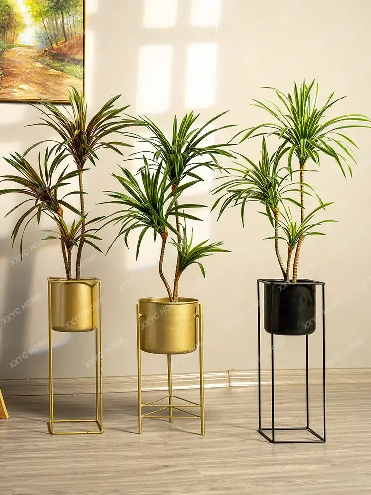 Simulation Colorful Ponytail I - Dracaena Marginata 评论和价格