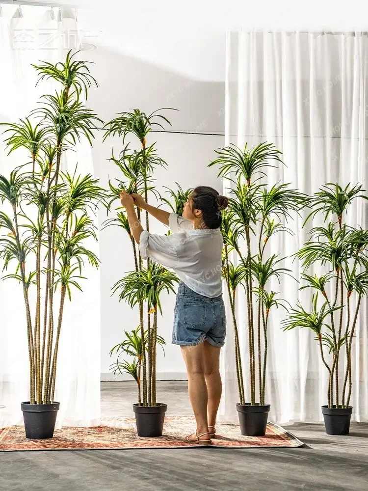 Simulation Dracaena Dracaena M - Dracaena Marginata 评论和价格