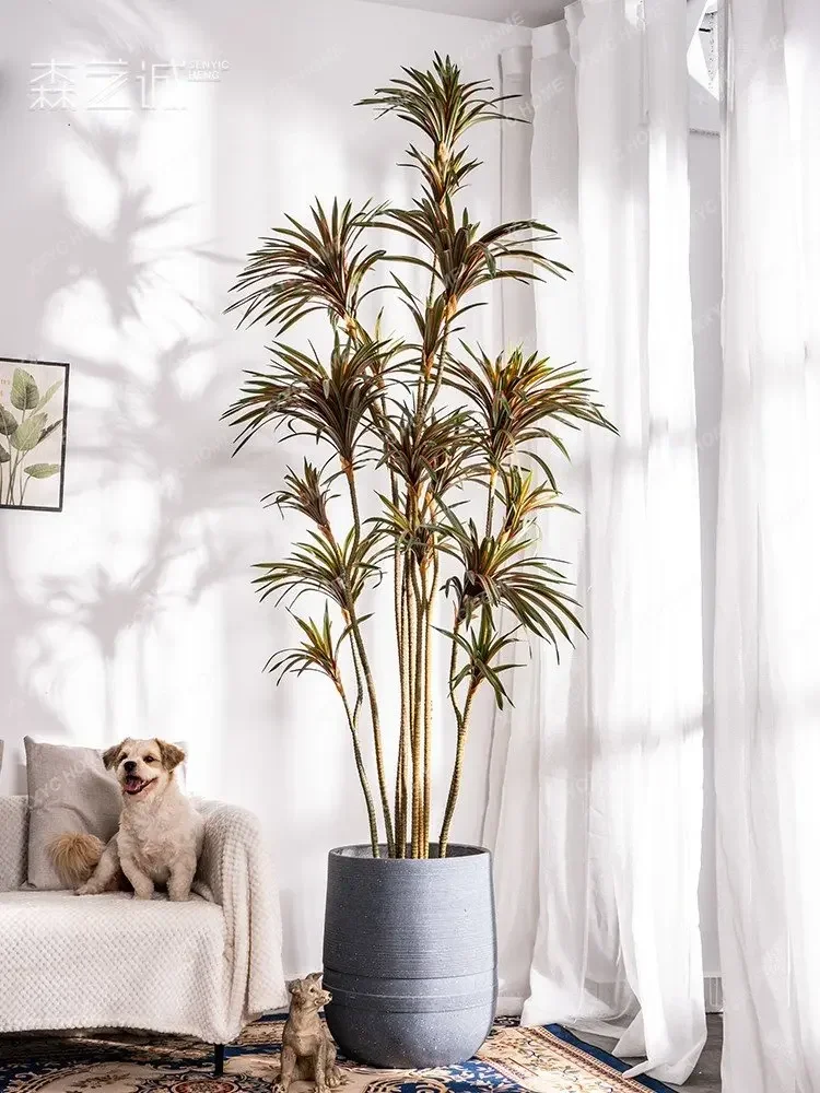Simulation Dracaena Dracaena M - Dracaena Marginata 评论和价格