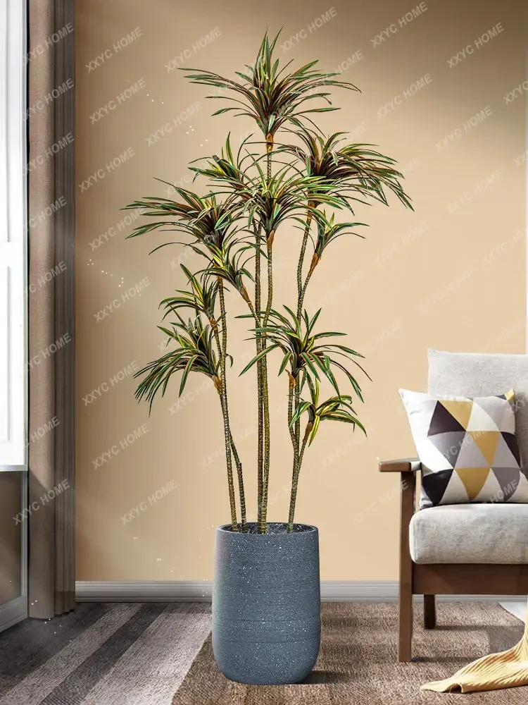 Simulation Dracaena Dracaena M - Dracaena Marginata 评论和价格