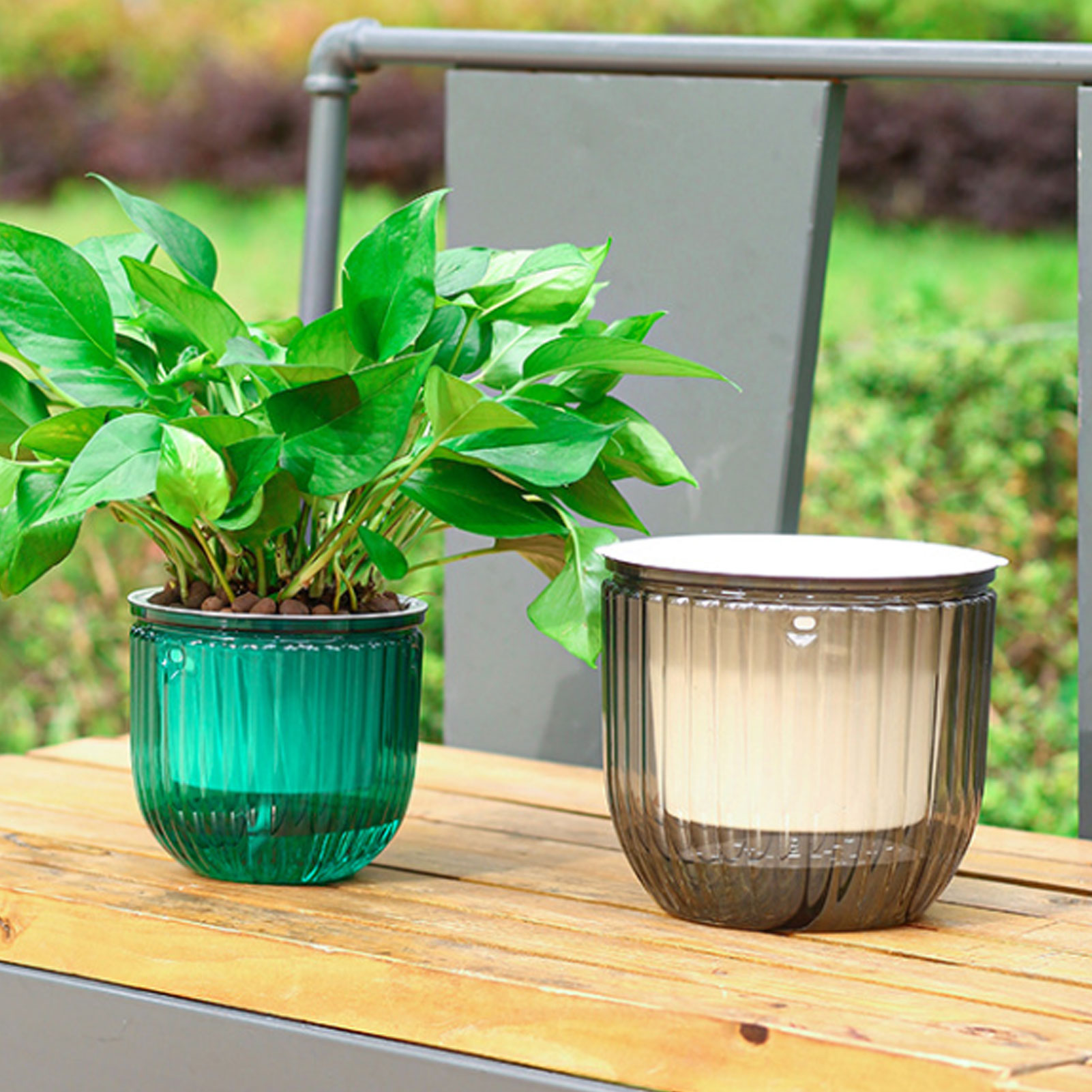 Automatic Self Watering Plant  - Spider Plant Hanging 评论和价格