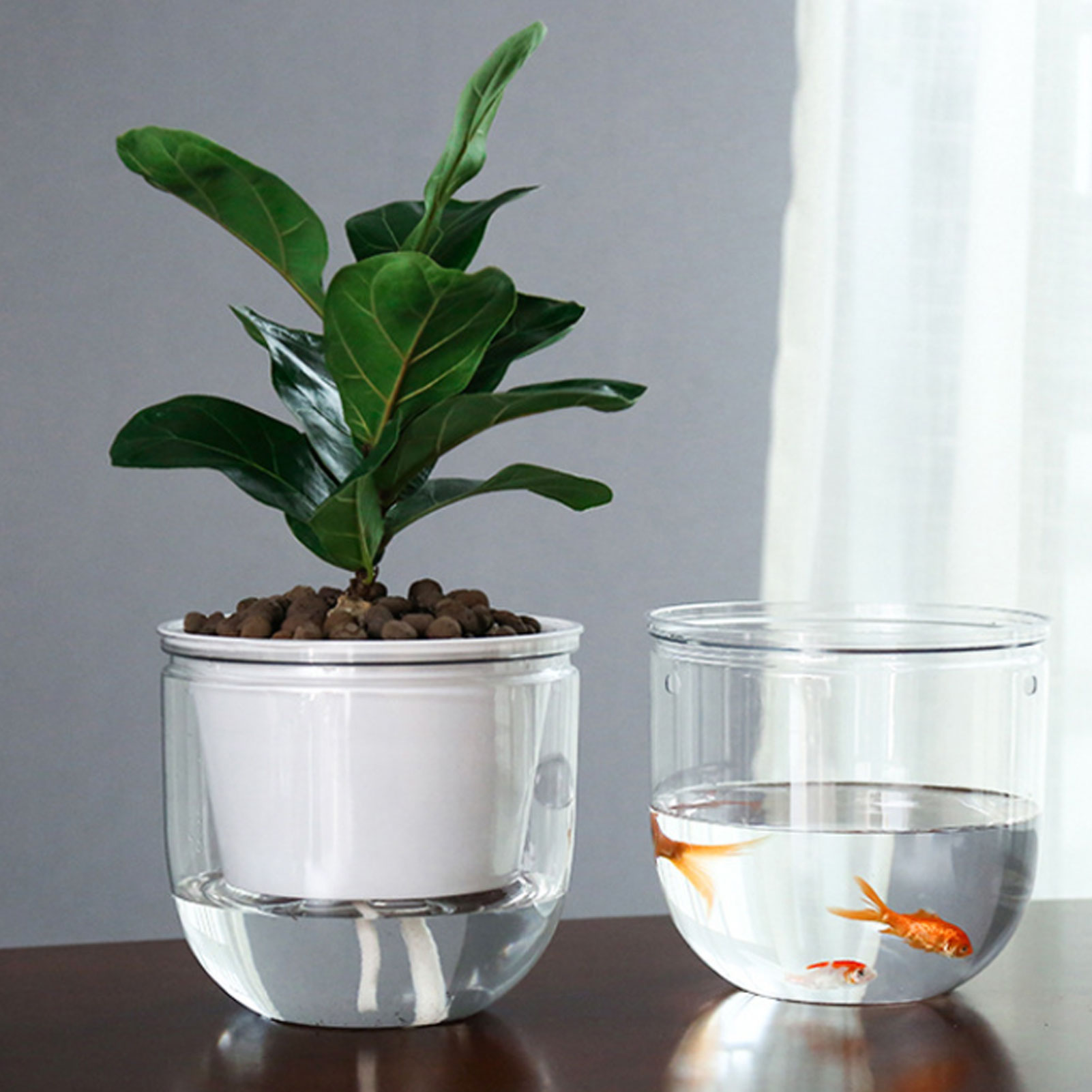 Automatic Self Watering Plant  - Spider Plant Hanging 评论和价格