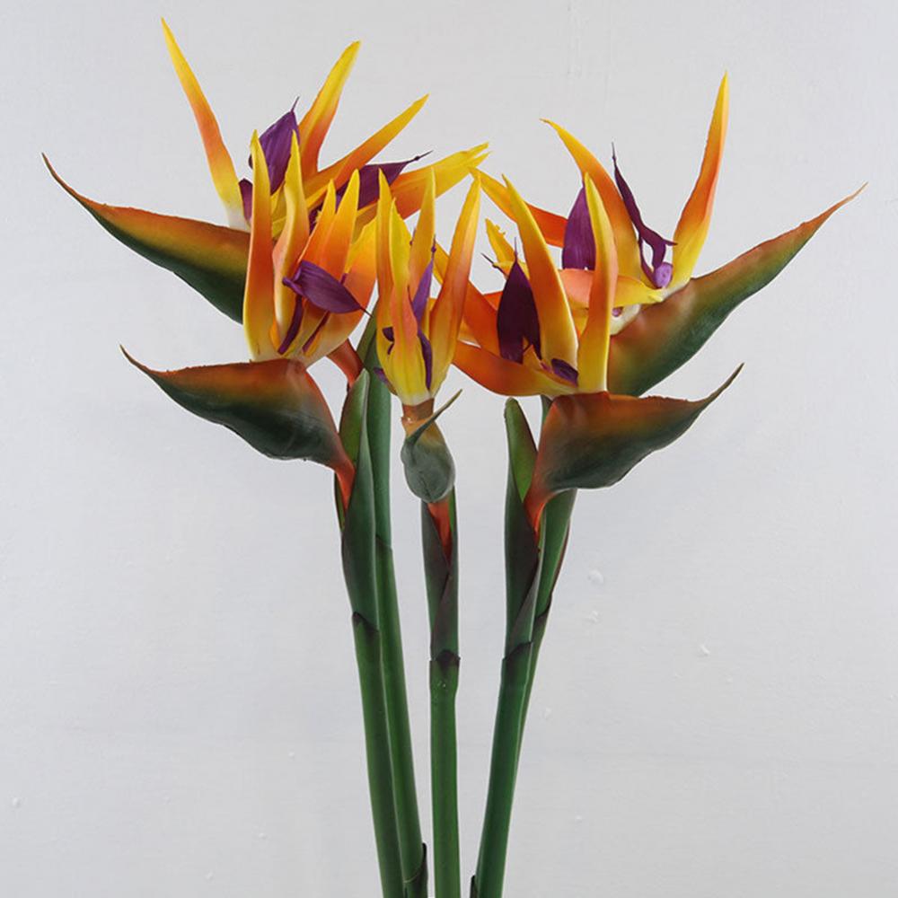 1pc 80cm Flower Bird Of Paradi - Bird Paradise Strelitzia 评论和价格