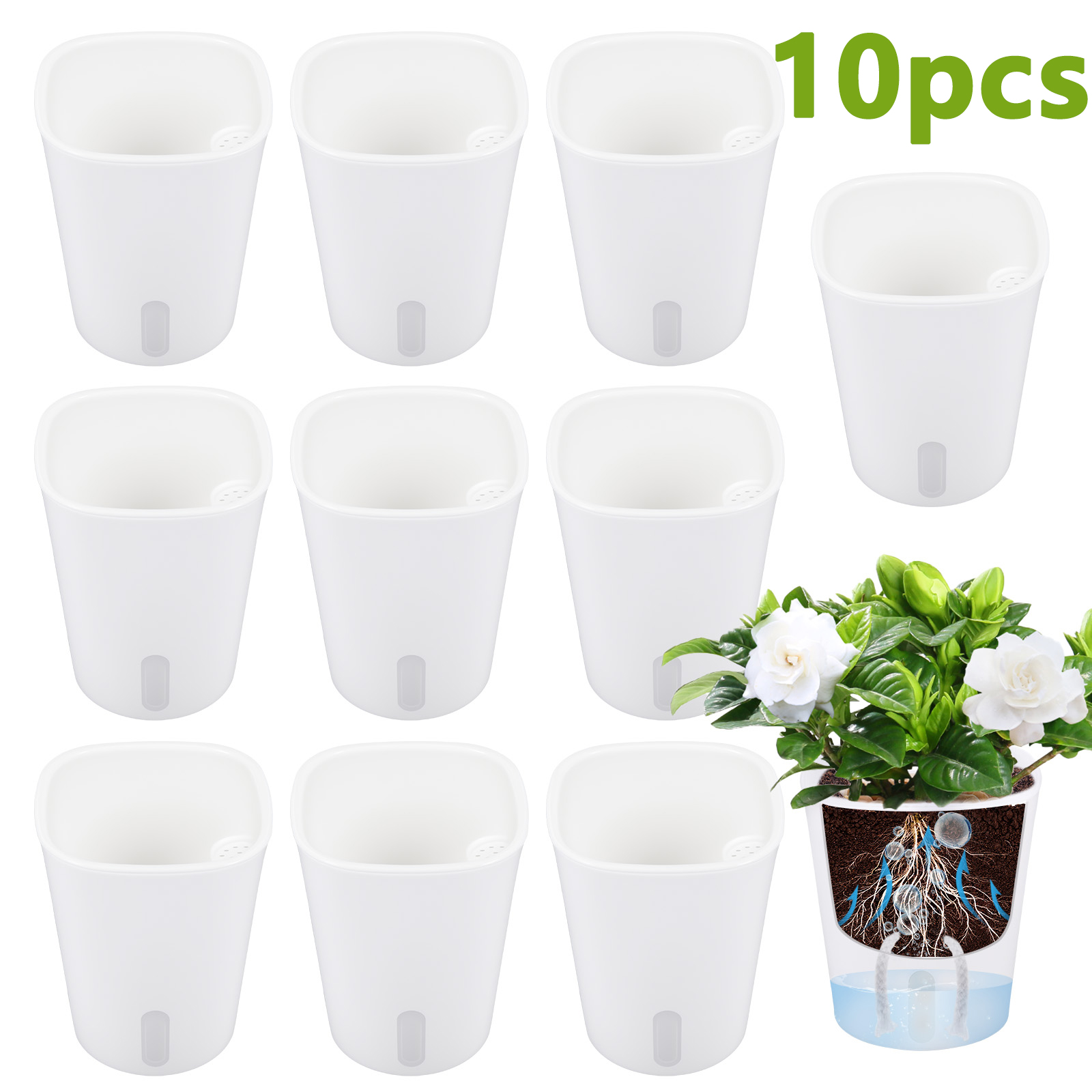 10Pcs Self Watering Plastic Fl - Aloe Vera Pot 评论和价格