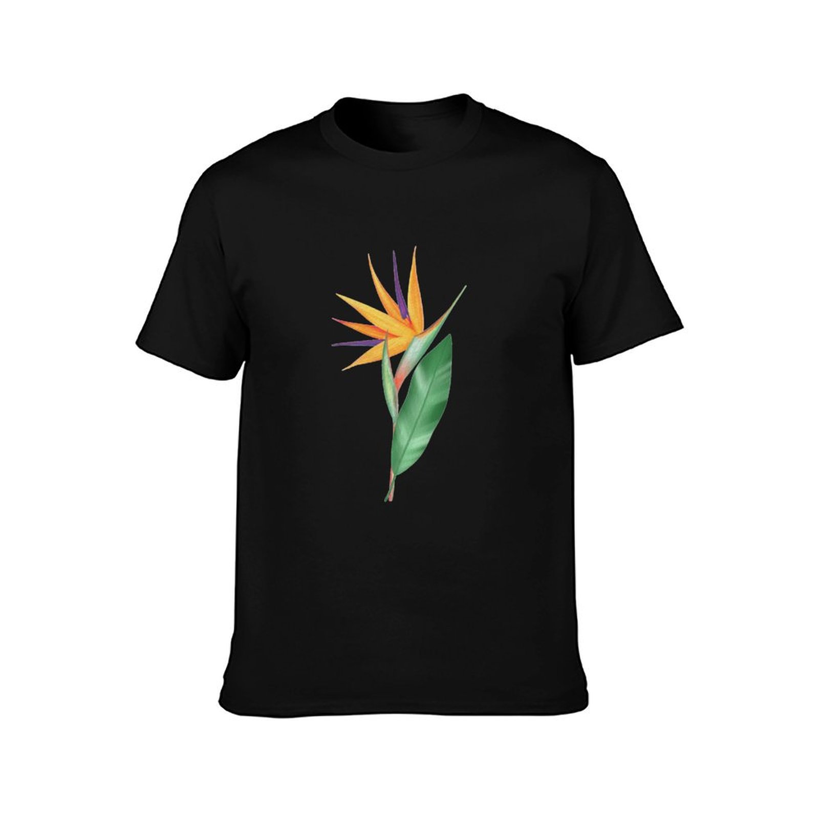 Watercolor bird of paradise fl - Bird Paradise Strelitzia 评论和价格