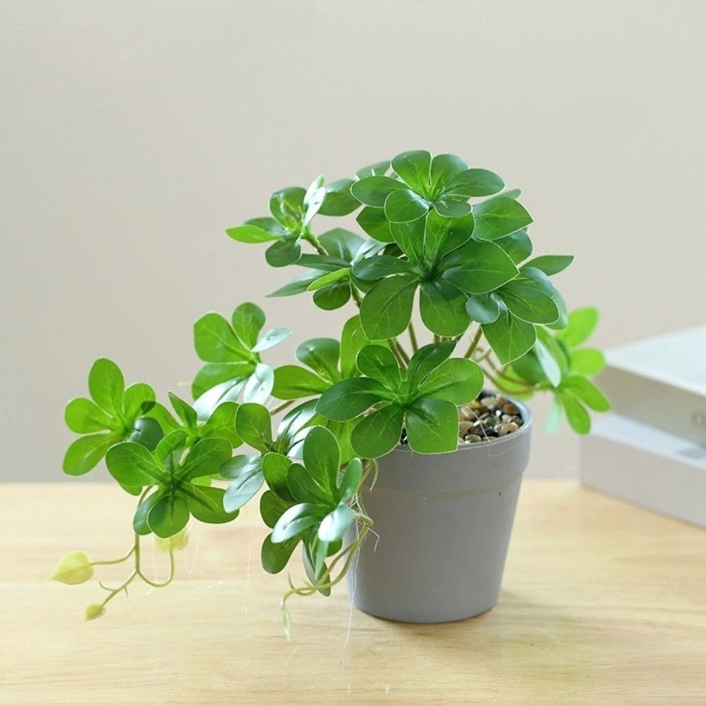 Bonsai Artificial Bonsai Plant - Spider Plant Hanging 评论和价格