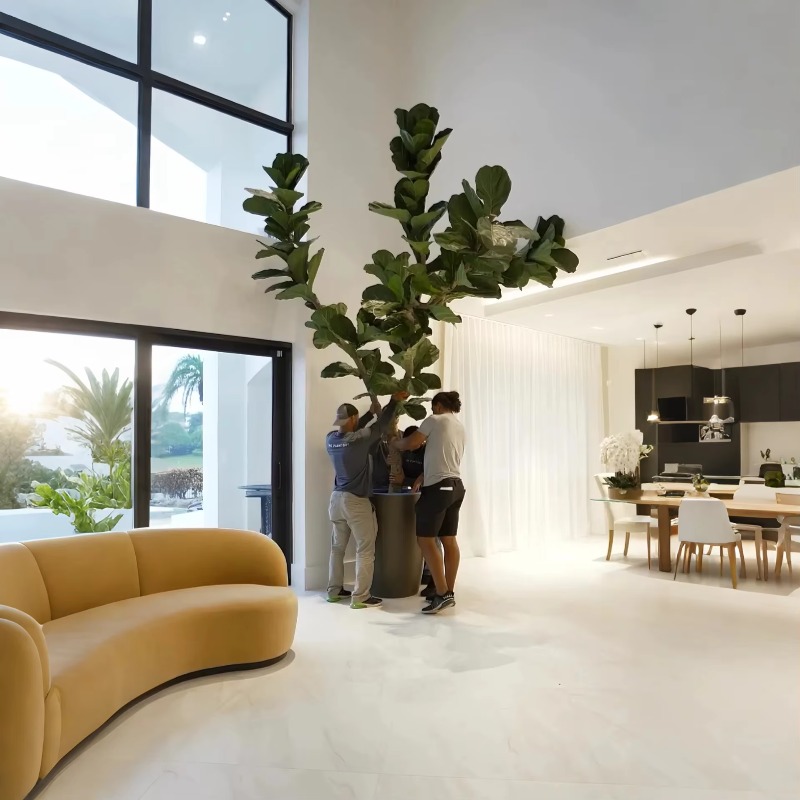 Artificial Plants Indoor Potte - Ficus Lyrata Tree 评论和价格