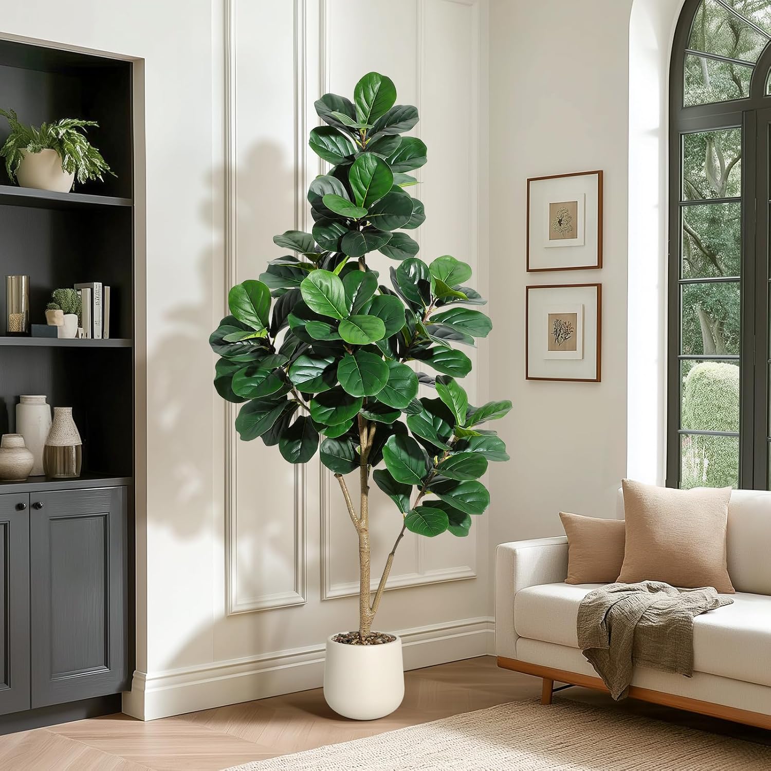 4-7 FT Fiddle Leaf Fig Tree Ar - Ficus Lyrata Tree 评论和价格