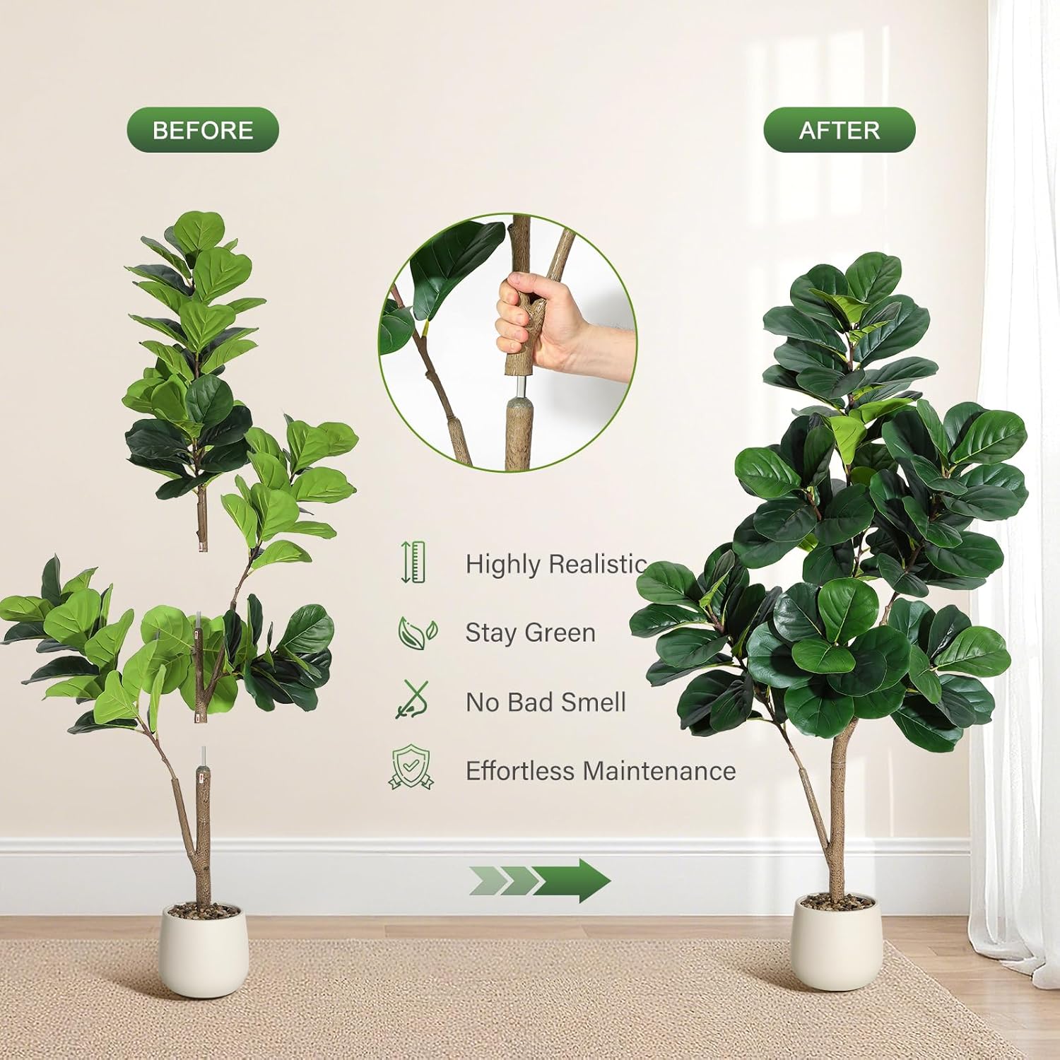 4-7 FT Fiddle Leaf Fig Tree Ar - Ficus Lyrata Tree 评论和价格