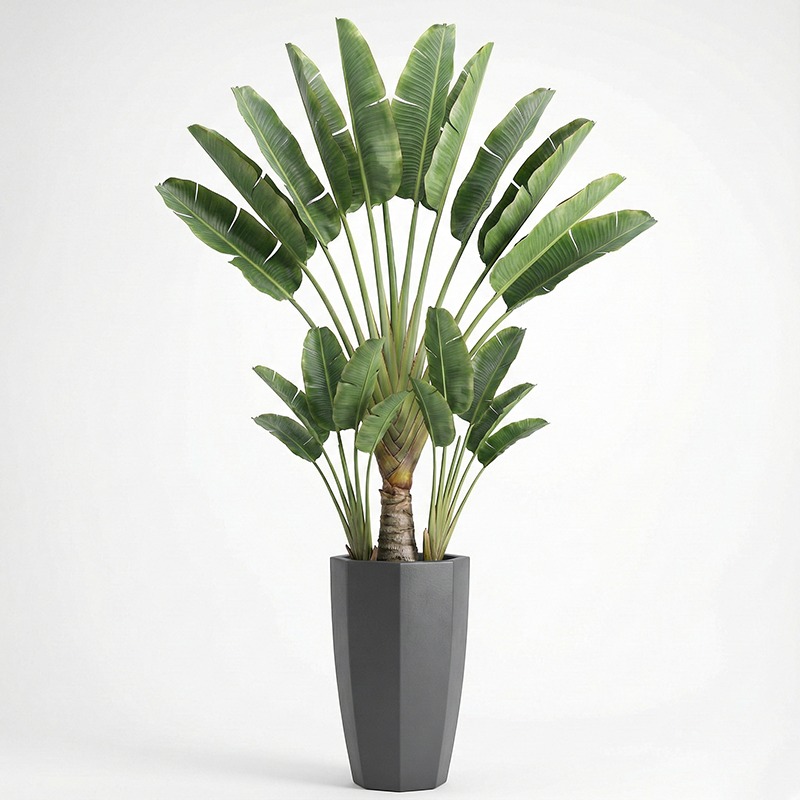 High-Simulation Plastic Fiddle - Ficus Lyrata Tree 评论和价格