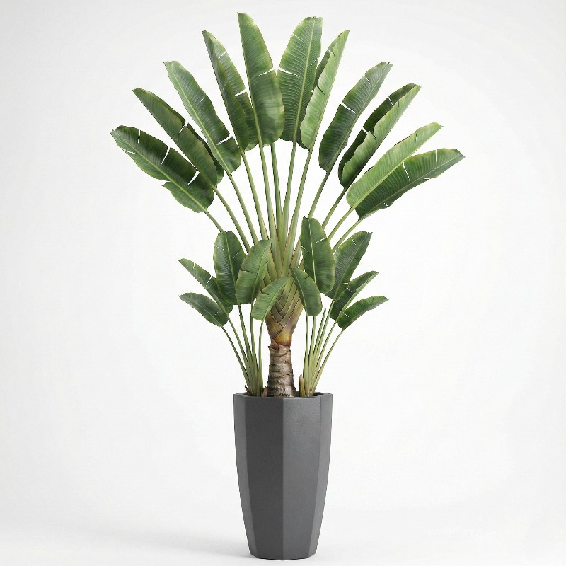 High-Simulation Plastic Fiddle - Ficus Lyrata Tree 评论和价格