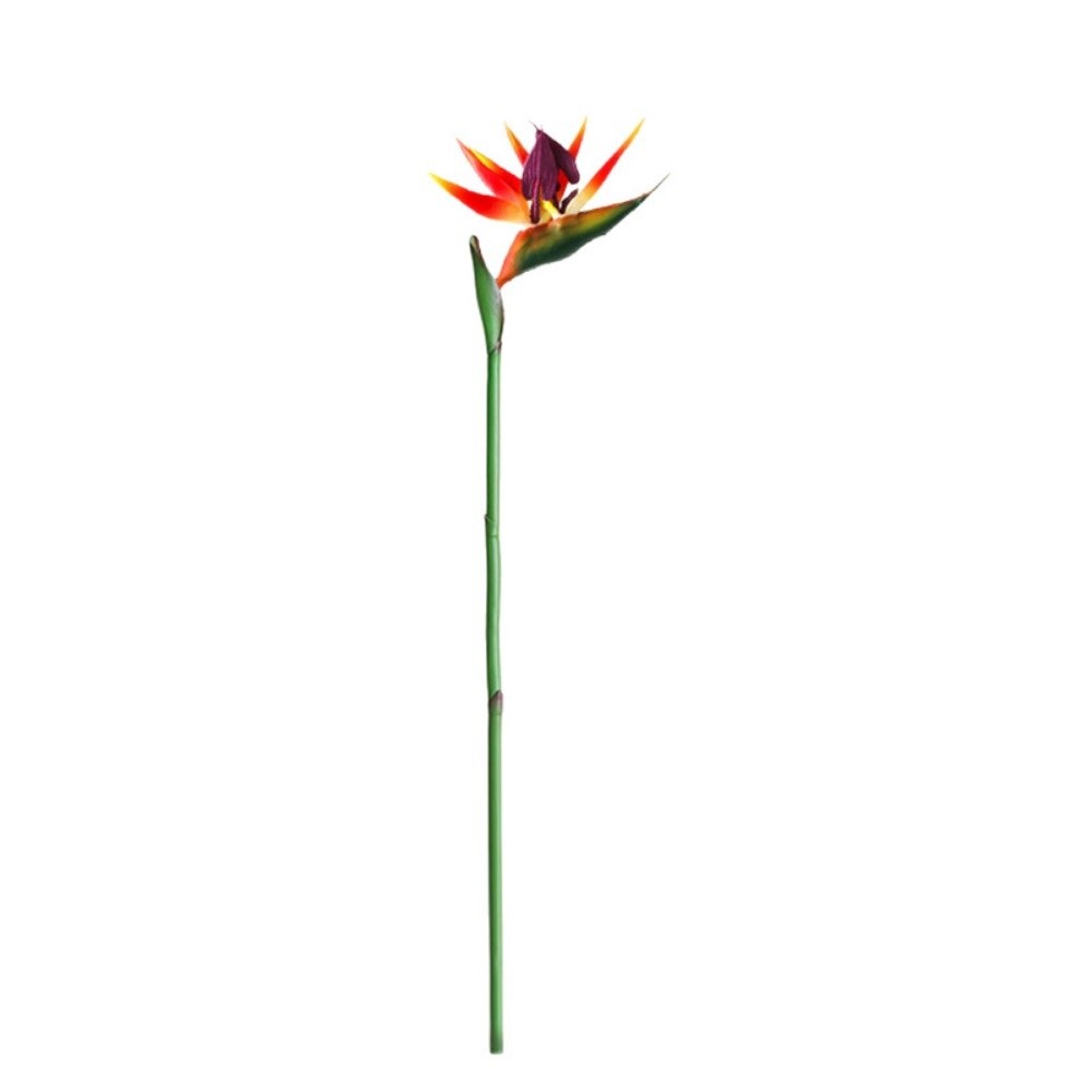 Long Stem Artificial Bird of P - Bird Paradise Strelitzia 评论和价格