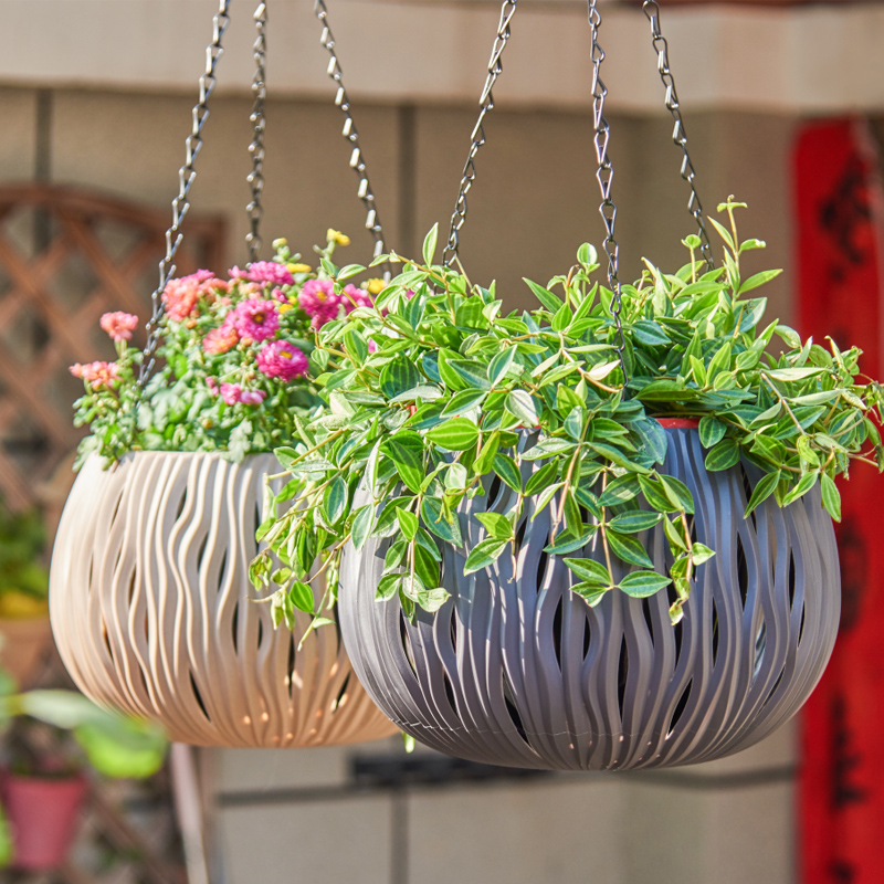 Hanging pot, plastic personali - Spider Plant Hanging 评论和价格