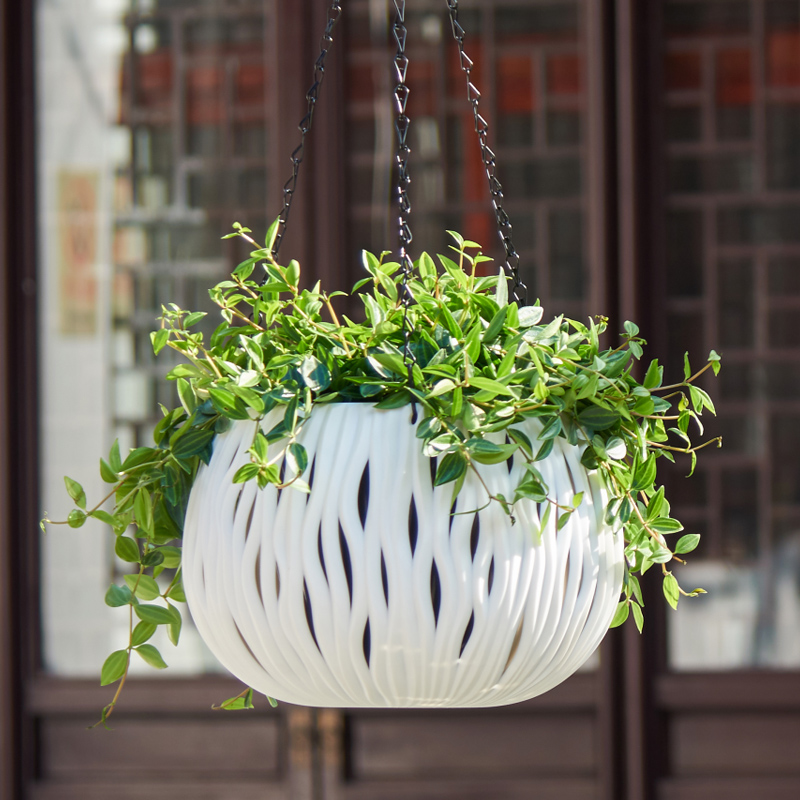 Hanging pot, plastic personali - Spider Plant Hanging 评论和价格