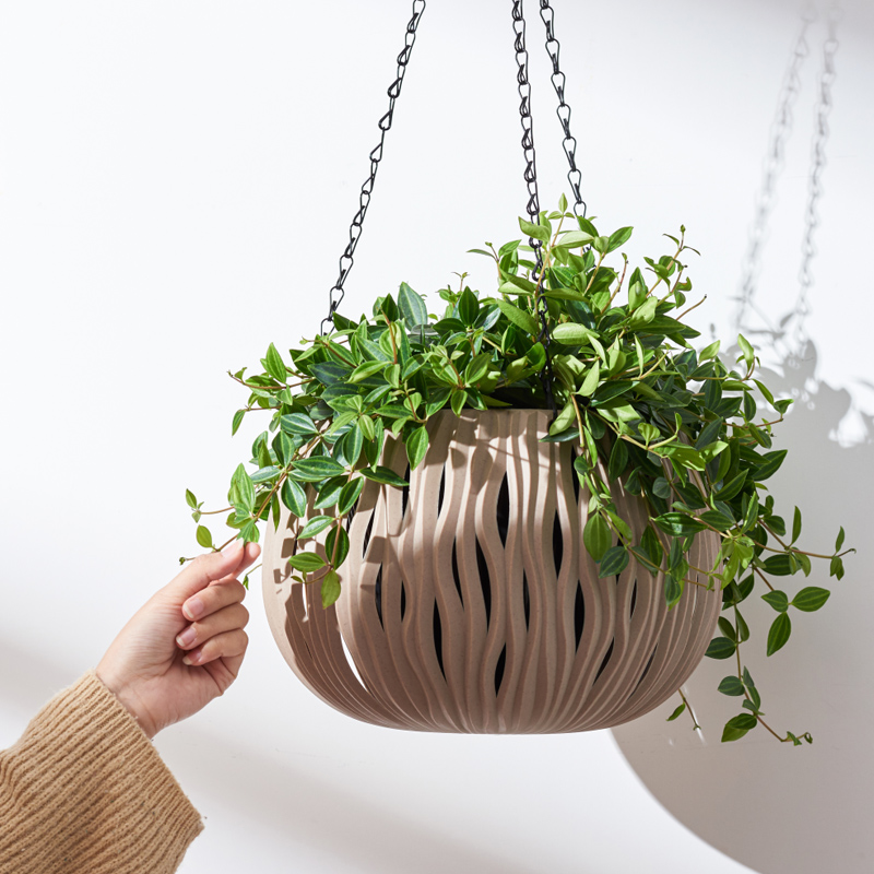 Hanging pot, plastic personali - Spider Plant Hanging 评论和价格
