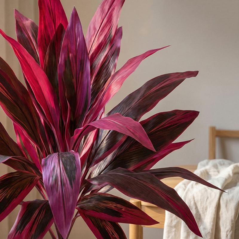 Large Artificial Dracaena Marg - Dracaena Marginata 评论和价格