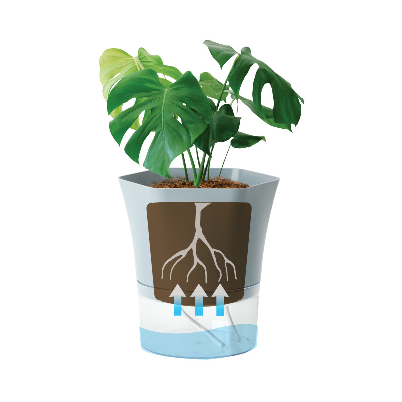 Transparent Plastic Self Water - Aloe Vera Pot 评论和价格