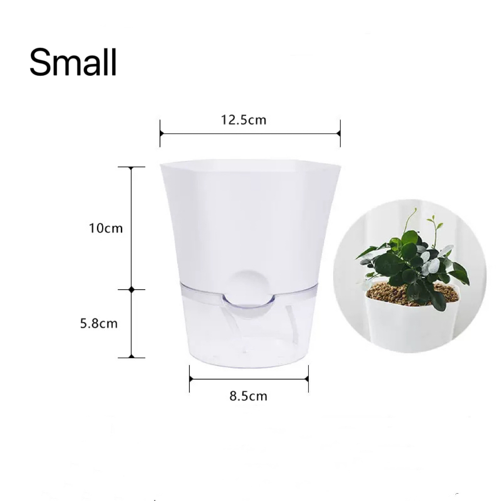 Transparent Plastic Self Water - Aloe Vera Pot 评论和价格