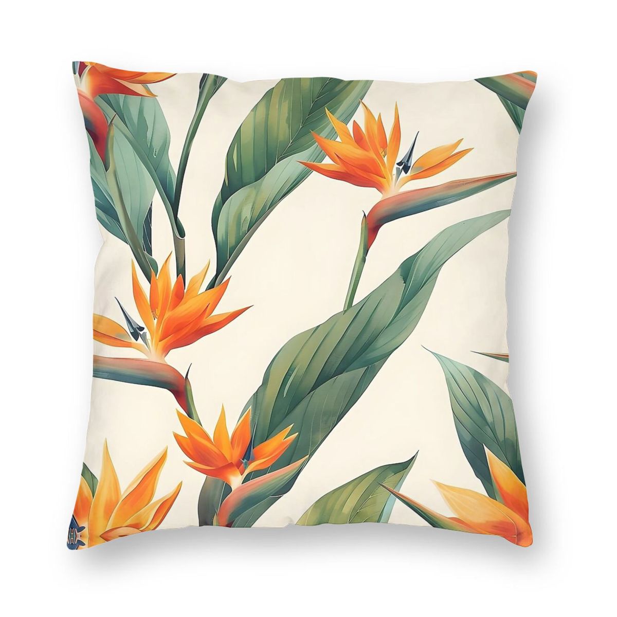 Bird Of Paradise Strelitzia Sq - Bird Paradise Strelitzia 评论和价格
