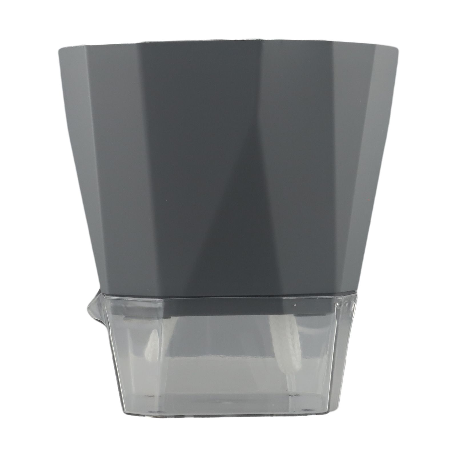 Bedrooms Transparent Flower Po - Aloe Vera Pot 评论和价格