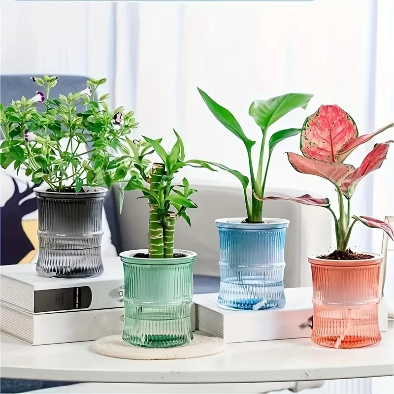 Transparent Double Layer Self  - Aloe Vera Pot 评论和价格