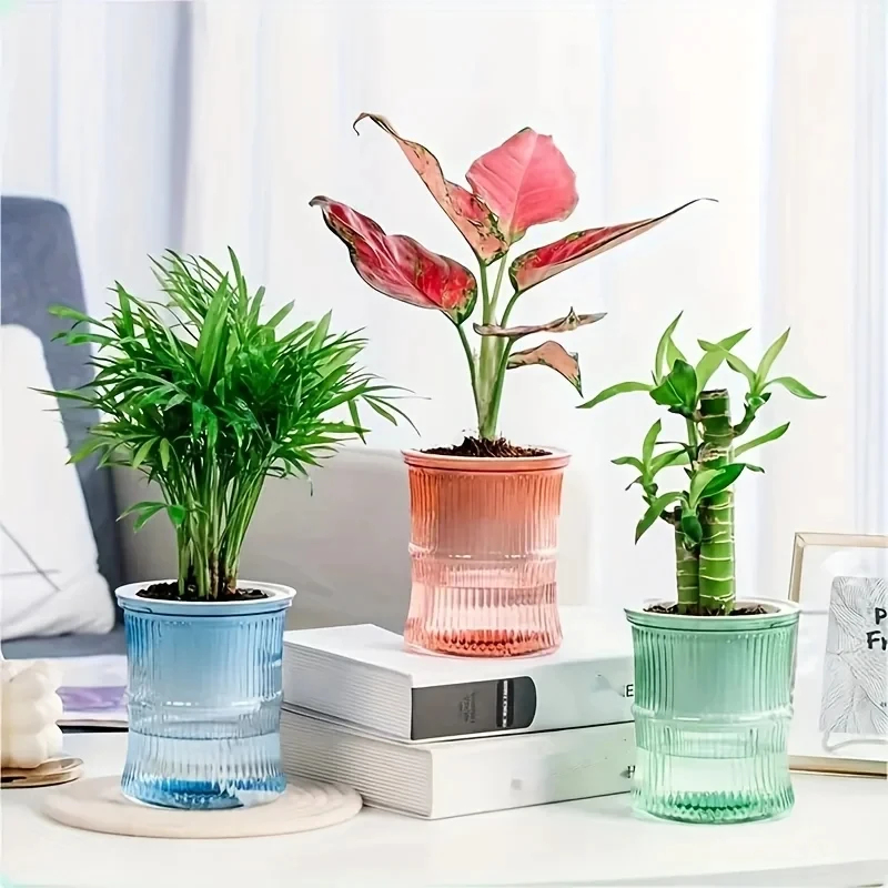 Transparent Double Layer Self  - Aloe Vera Pot 评论和价格