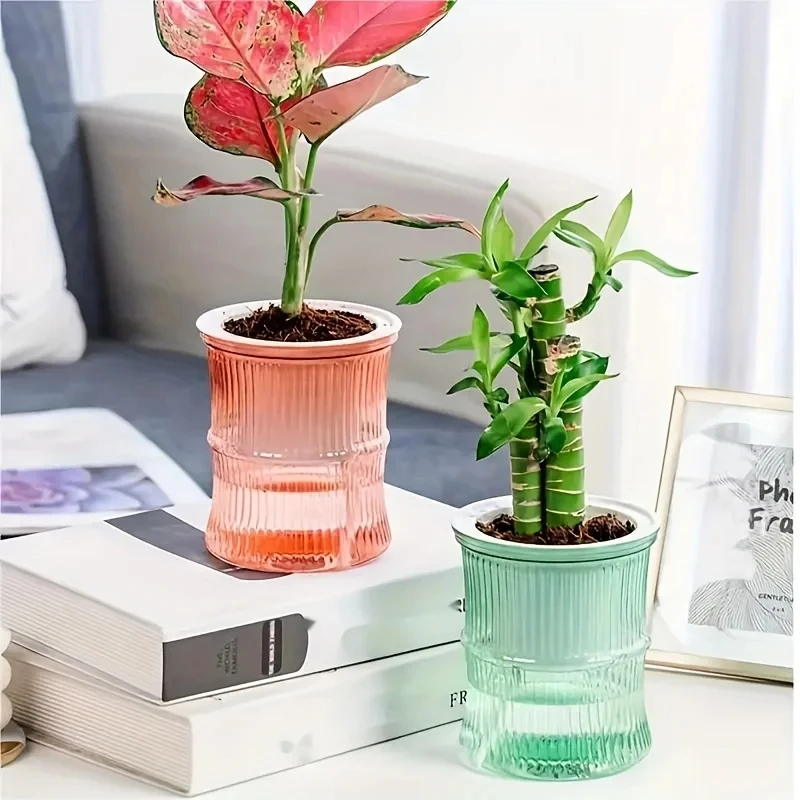 Transparent Double Layer Self  - Aloe Vera Pot 评论和价格