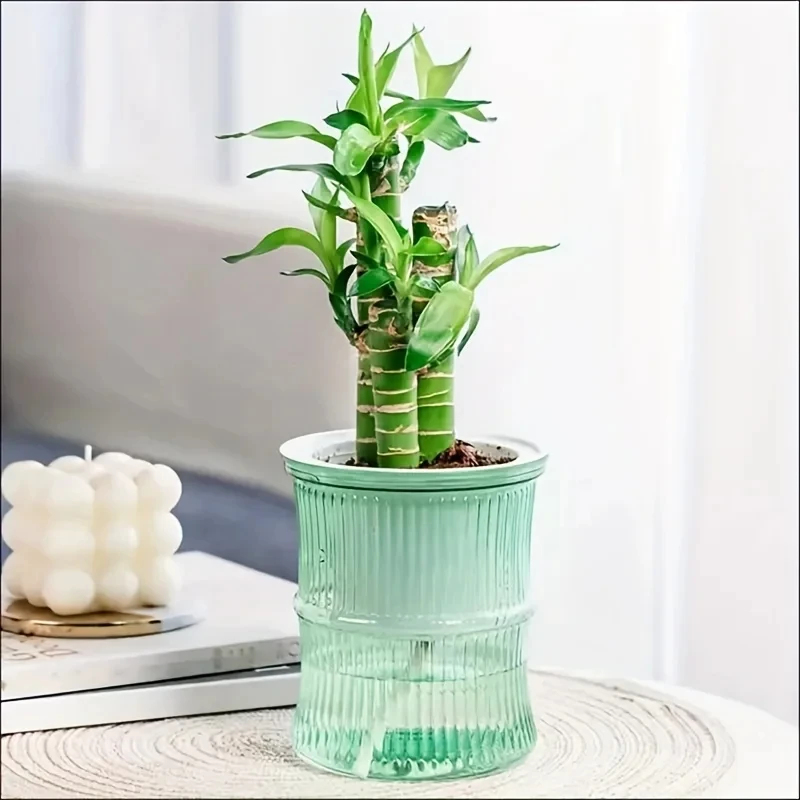 Transparent Double Layer Self  - Aloe Vera Pot 评论和价格