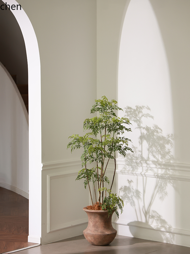 LYY  Floor Vase Green Plant Ar - Ficus Lyrata Tree 评论和价格