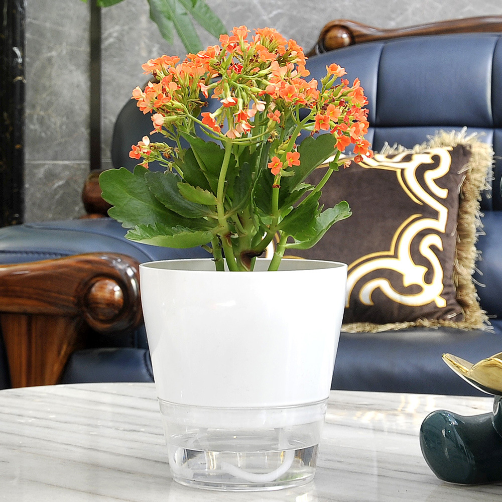 Lazy Flower with Drainage Hole - Aloe Vera Pot 评论和价格