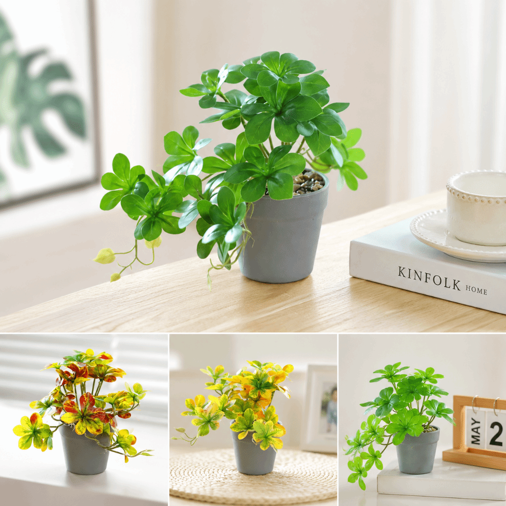Bonsai Artificial Bonsai Plant - Spider Plant Hanging 评论和价格