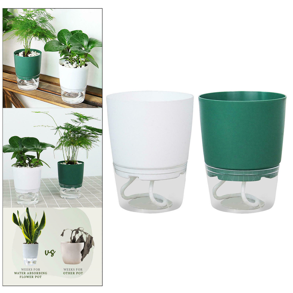 Lazy Hydroponic Flower Pot Aut - Aloe Vera Pot 评论和价格