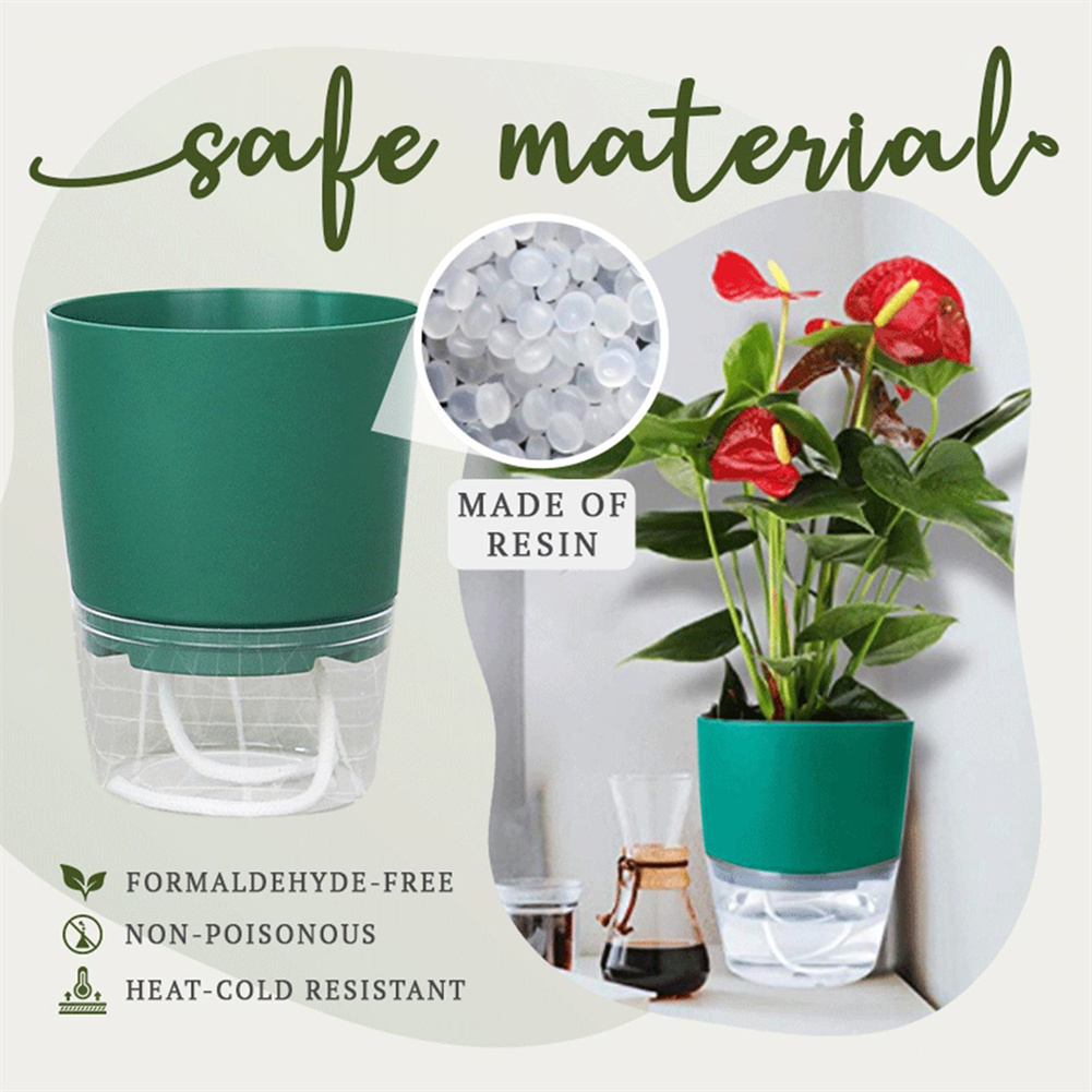 Lazy Hydroponic Flower Pot Aut - Aloe Vera Pot 评论和价格