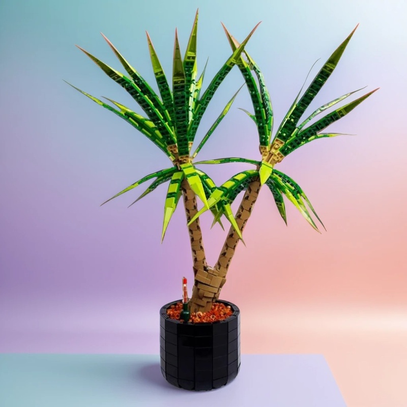 1961pcs MOC Dracaena Marginata - Dracaena Marginata 评论和价格