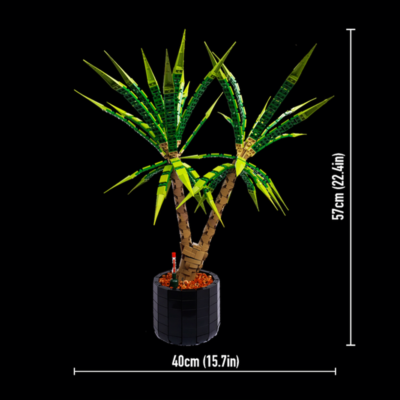 1961pcs MOC Dracaena Marginata - Dracaena Marginata 评论和价格