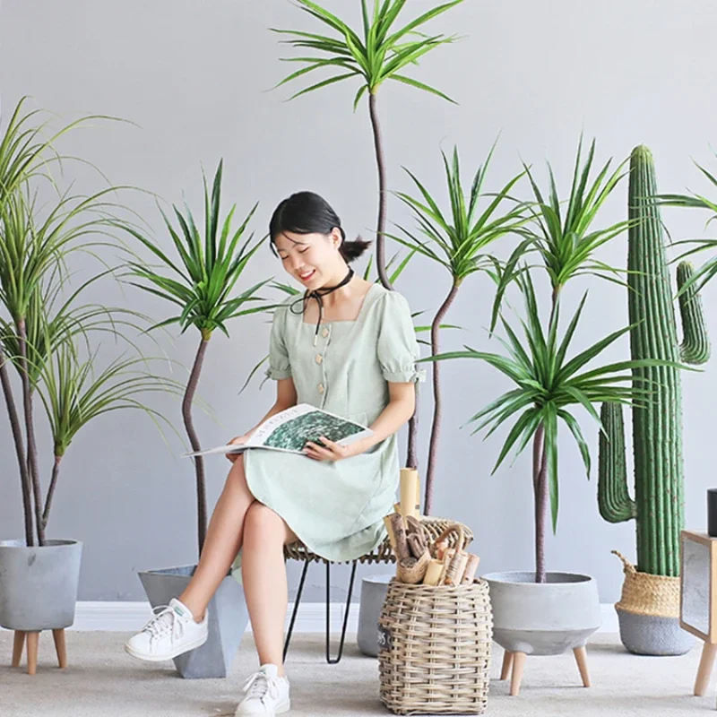 Simulation Plant Dracaena Marg - Dracaena Marginata 评论和价格