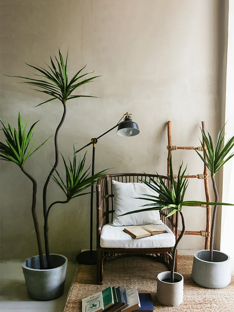 Simulation Plant Dracaena Marg - Dracaena Marginata 评论和价格