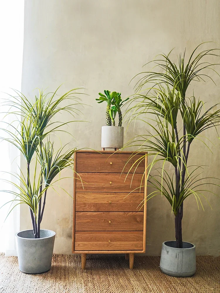 Simulation Plant Dracaena Marg - Dracaena Marginata 评论和价格