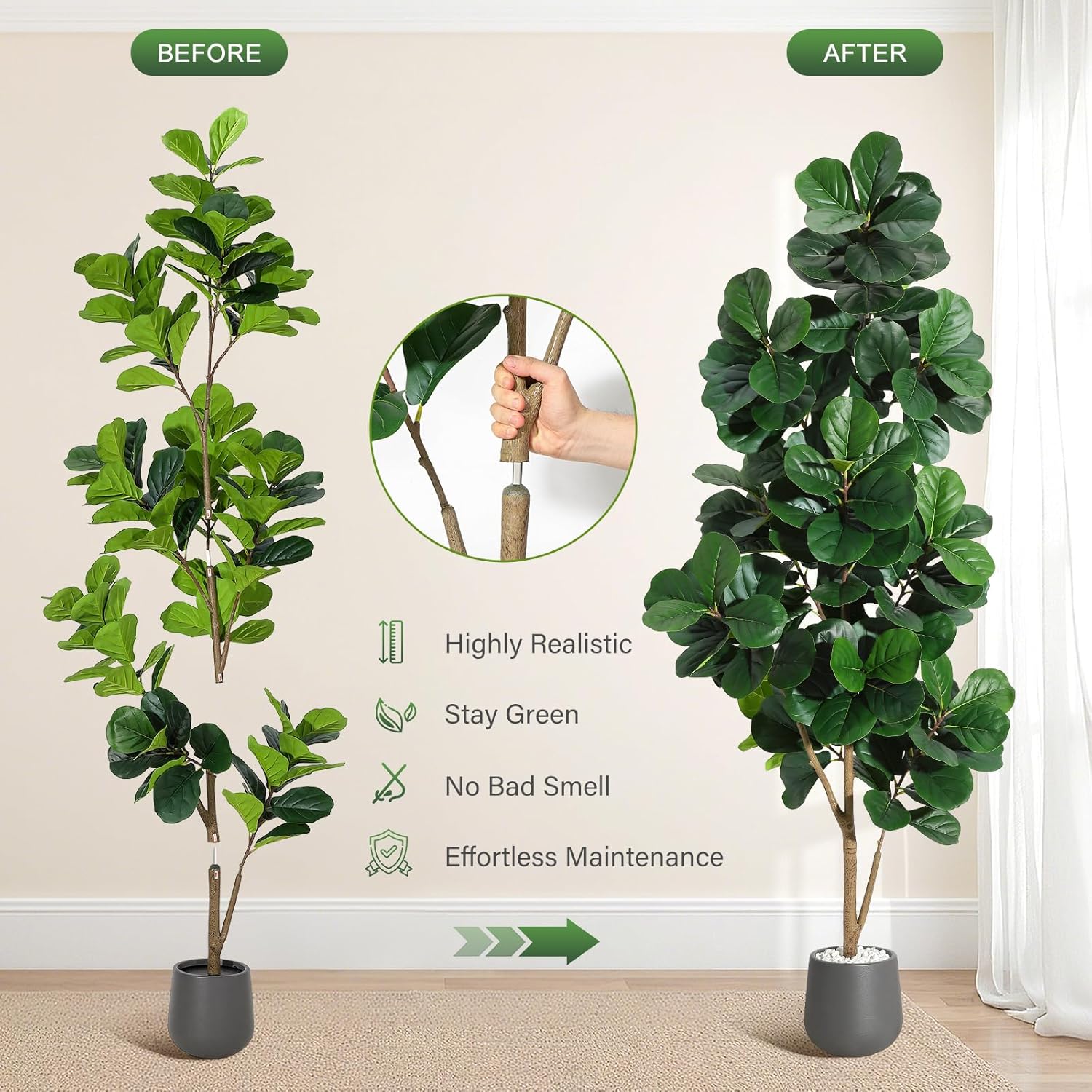 4FT/5FT/6FT/7FT Fiddle Leaf Fi - Ficus Lyrata Tree 评论和价格