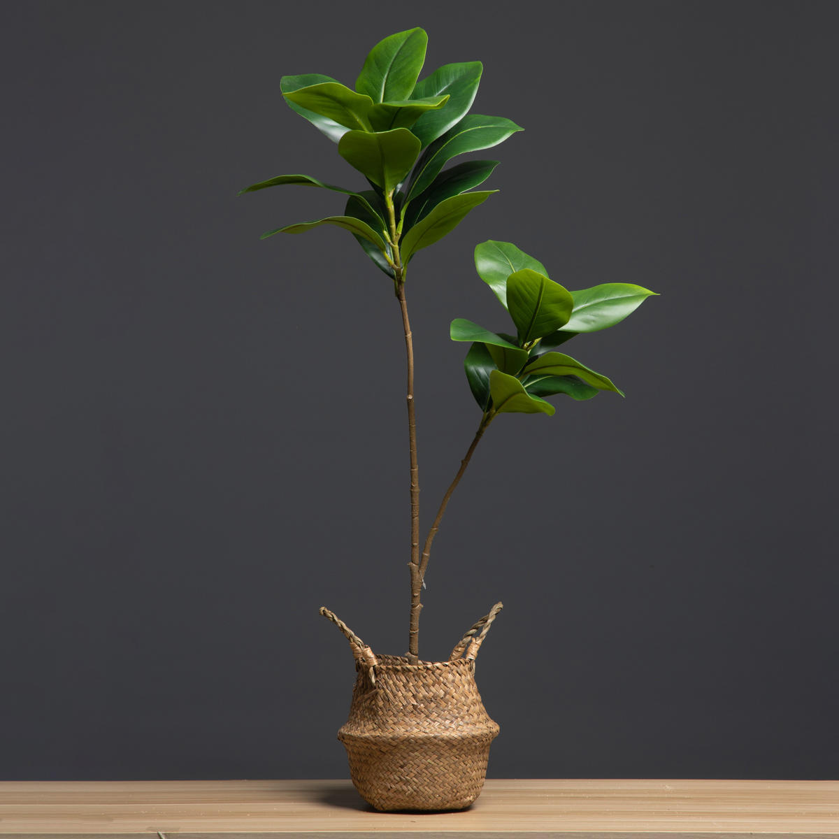 105cm 2 Forks Large Artificial - Dracaena Marginata 评论和价格