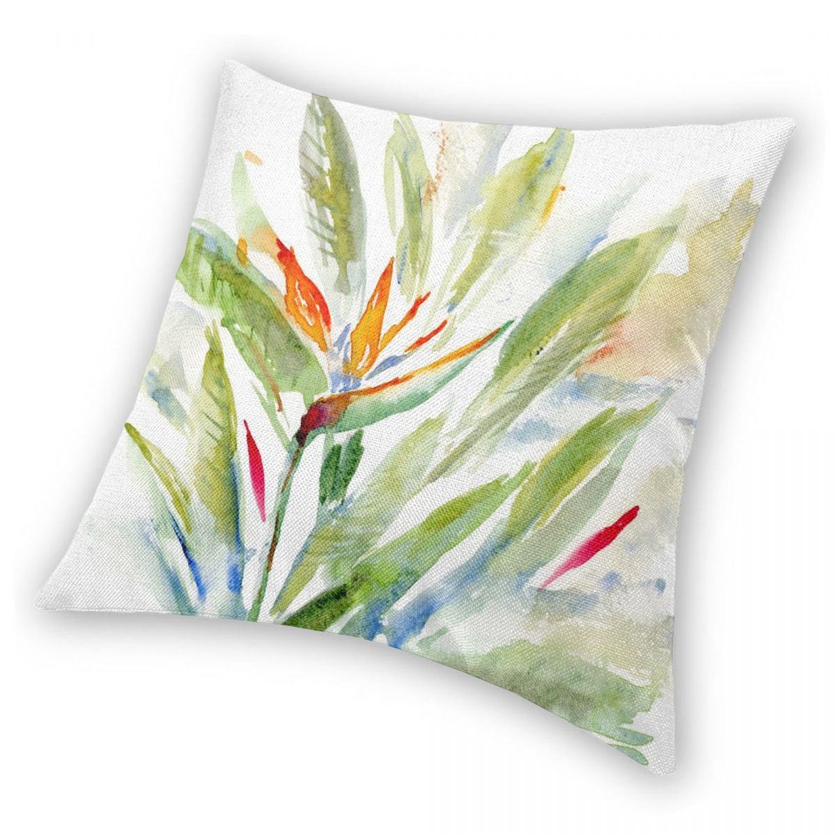 Bird Of Paradise Strelitzia Sq - Bird Paradise Strelitzia 评论和价格