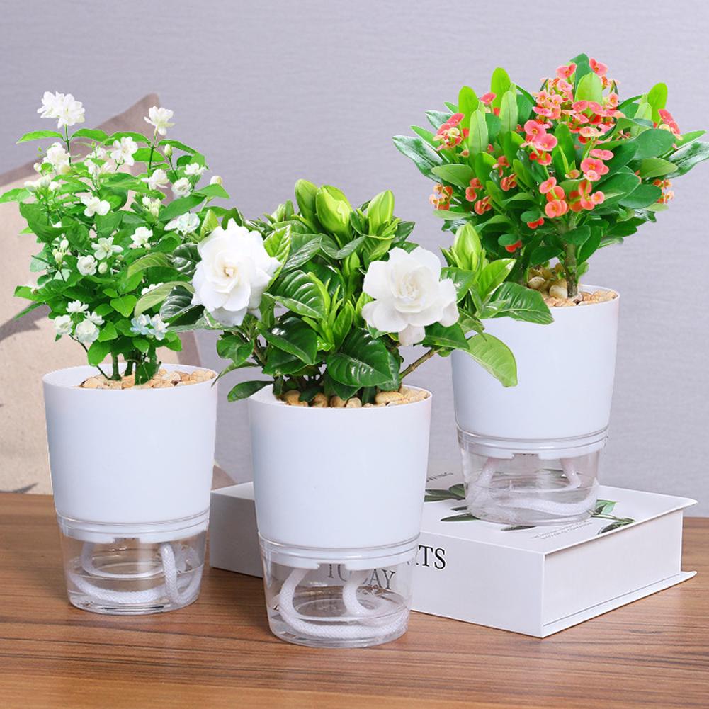 Self Watering Plastic Flower P - Aloe Vera Pot 评论和价格