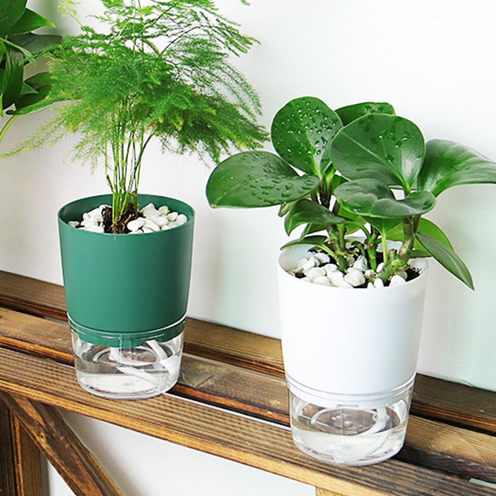 Self Watering Plastic Flower P - Aloe Vera Pot 评论和价格