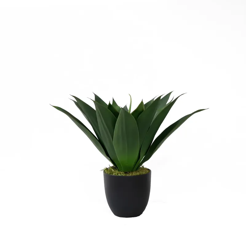 Artificial Potted Aloe Vera Pl - Aloe Vera Pot 评论和价格